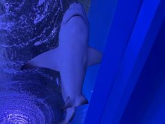-常州海昌海洋探索馆