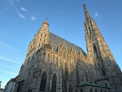-斯蒂芬主教座堂(Stephansdom)