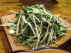 -燕兵眉州肥肠鱼饭店