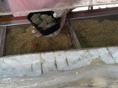 -叶氏麻糍(鼓浪屿店)