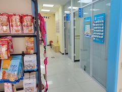 -全心全意连锁动物医院·微创中心·内科急重症·心脏专科(丰管路店)