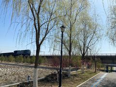 -永定河休闲森林公园