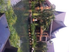 iphone_upload_pic-三亚湾红树林度假世界(木棉酒店)