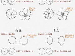 -学知乐教育·幼小衔接·小学科辅导(浦东外高桥森兰中心)