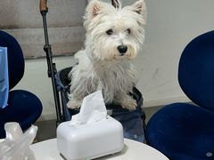 -海马体照相馆(深圳万象天地店)