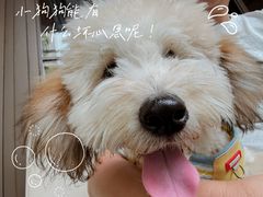 -瑞虹新天地月亮湾