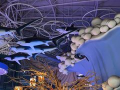 -烟台海昌鲸鲨海洋公园