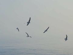 -玫瑰海岸文化旅游度假区