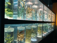 -广东中医药博物馆