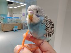 -怪兽屋·羊驼·猫咖·狗咖(俊华广场店)