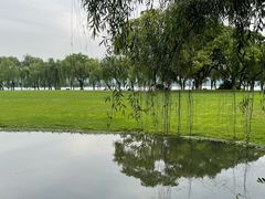-柳浪闻莺公园
