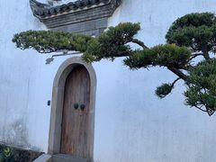 -广富林郊野公园