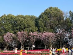 -凤凰沟景区