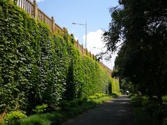 -南宁良凤江国家森林公园