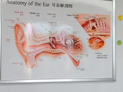 -自然之声助听器·呼吸机(翠微大厦店)