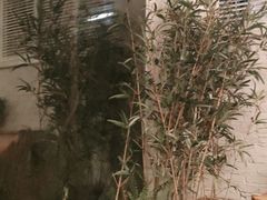 -水边(郯城店)