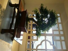 android_upload_pic-盆景园(扬州大运河文化旅游度假区)