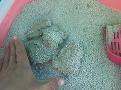 -联萌宠物医院(猫病专科)
