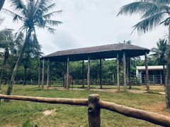 -海南热带野生动植物园
