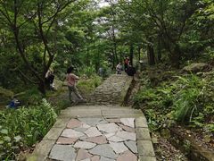 -北仑森林植物园