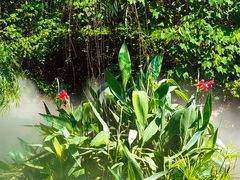 -苏州河梦清园环保主题公园