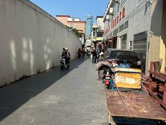 -长洲岛