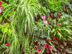 -后海16号·北京私房菜