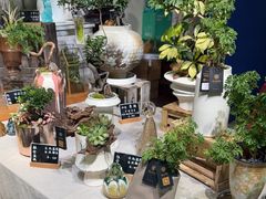 -弗劳尔花艺坊(龙涛店)