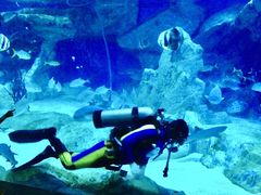 -海合安成都极地海洋公园
