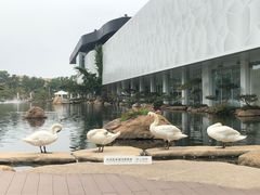 -罗红摄影艺术馆