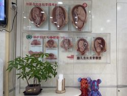 -五洲妇儿医院
