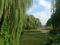 -昆山城市生态森林公园