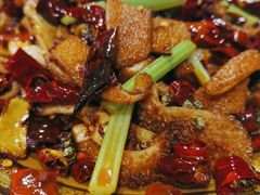 -老桥张羊肉