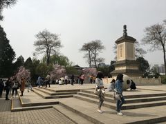 -西安青龙寺遗址景区