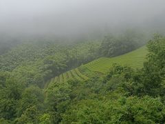-敬亭山风景名胜区