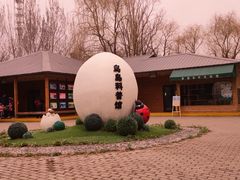 -沈阳鸟岛