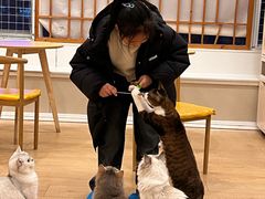-Let's go狗咖·猫咖·奶狗·桌游(春熙路IFS店)