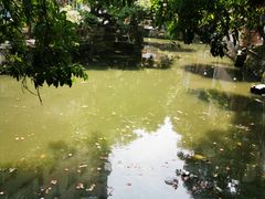 -小洲村