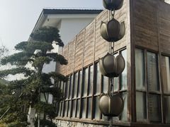 -陆羽泡的茶(集散中心店)