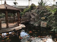 -龙达温泉生态城