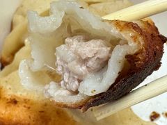-洋洋锅贴