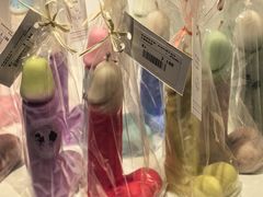-冰岛阴茎博物馆