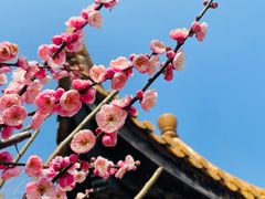 -雨花胜境