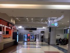 -约翰·菲茨杰拉德·肯尼迪国际机场