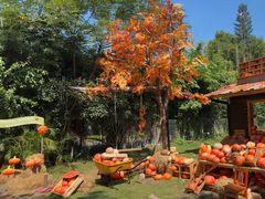 -HERRE·FARM 赫尔露营农场·团建聚会包场