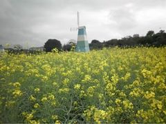 -松山湖梦幻百花洲