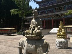 -武陵山森林公园