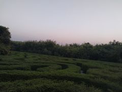 -大屏嶂森林公园