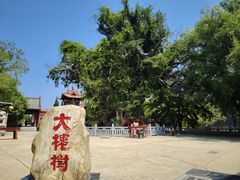 -大槐树寻根祭祖园