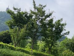 -狼山风景名胜区